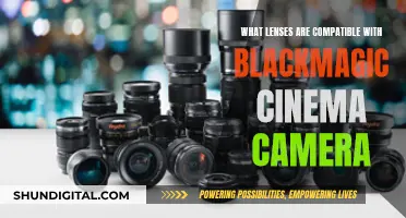 Blackmagic Cinema Camera: Compatible Lenses for Your Setup