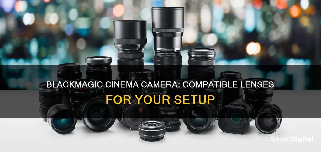 what lenses are compatible with blackmagic cinema camera