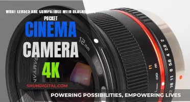 Blackmagic Pocket Cinema Camera 4K: Compatible Lenses for Every Scenario