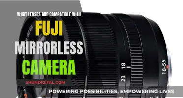 Fuji Mirrorless Camera: Compatible Lenses for Your Camera