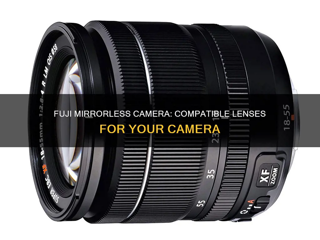 what lenses are compatible with fuji mirrorless camera