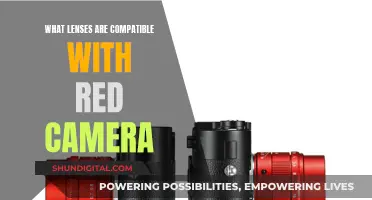 The Ultimate Lens Guide for RED Camera Systems