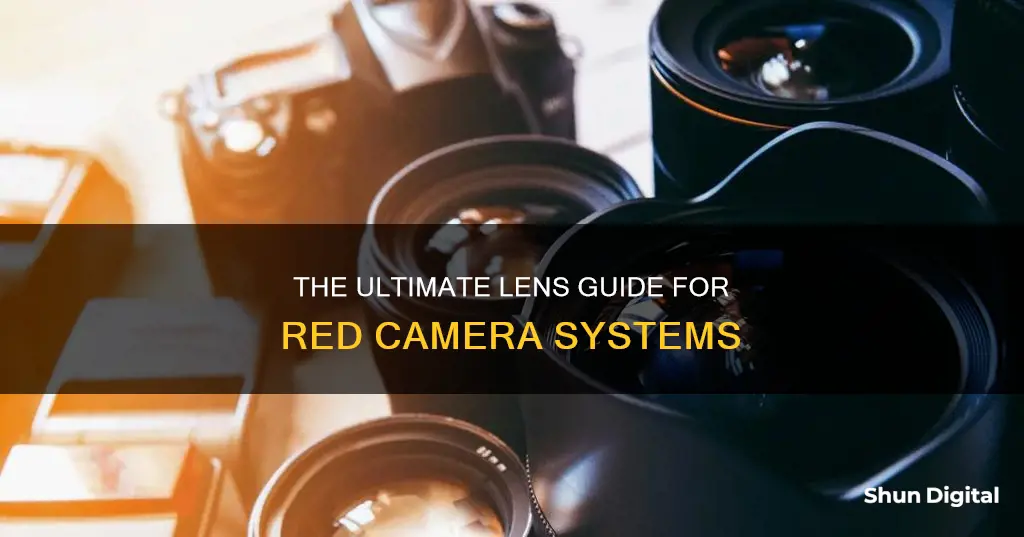 what lenses are compatible with red camera