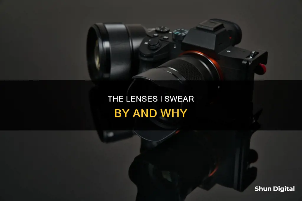 what lenses are in your camera bag