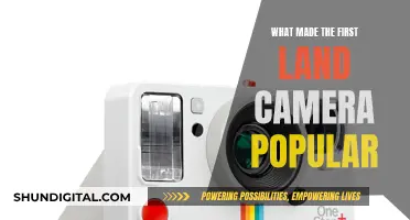 Land Camera's First Steps: What Made It So Popular?