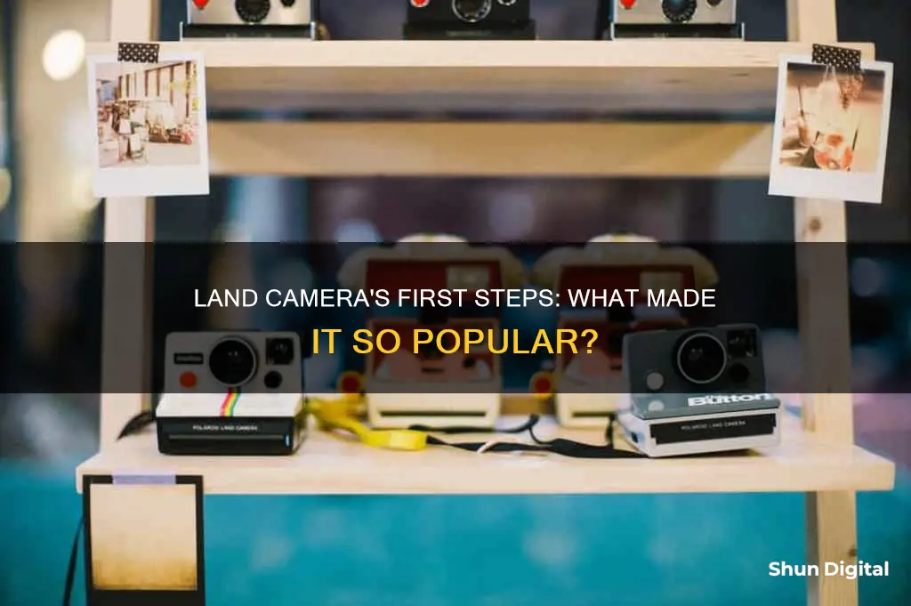 what made the first land camera popular