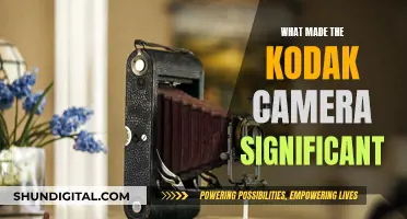 The Kodak Camera: A Revolutionary Snapshot of History