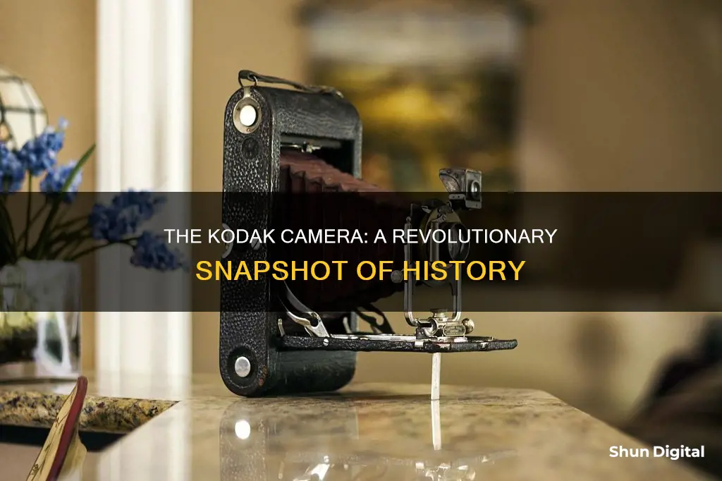 what made the kodak camera significant