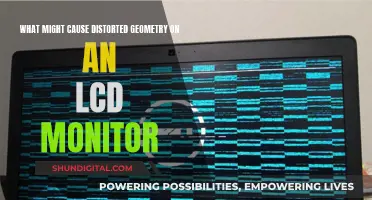 LCD Monitor Distortion: What Could Be the Cause?