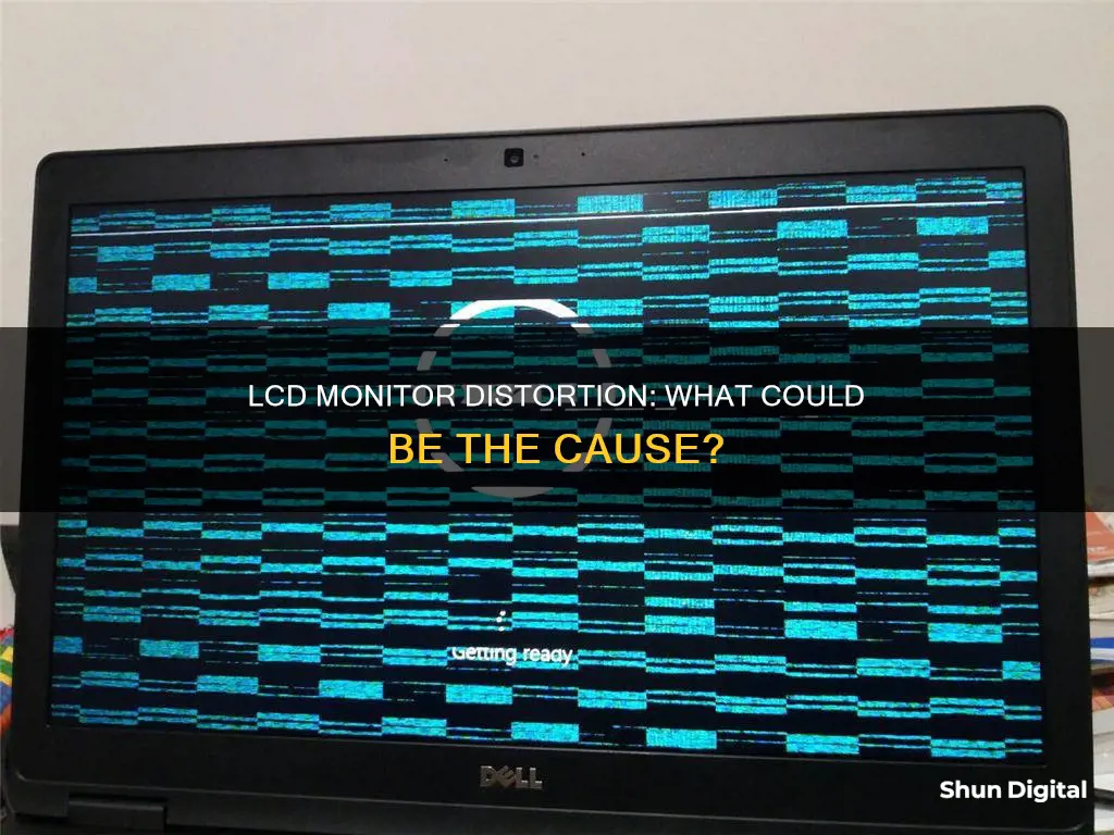 what might cause distorted geometry on an lcd monitor