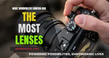 The Ultimate Mirrorless Camera for Limitless Lens Options