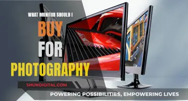 Monitors for Photography: Choosing the Right Display