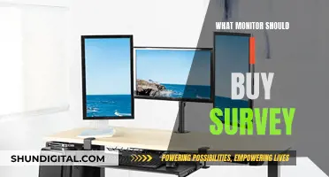 Best Monitor Buys: A Comprehensive Survey Guide