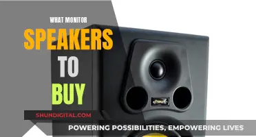 Monitor Speakers: Choosing the Right Ones for You