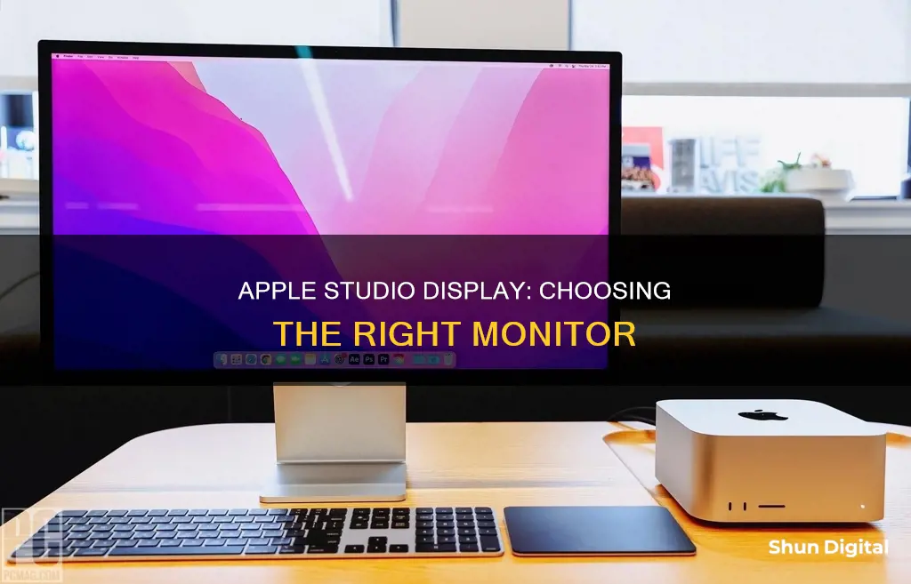 what monitor to buy for the apple studio