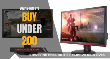 Budget-Friendly Monitors: Top Picks Under $200