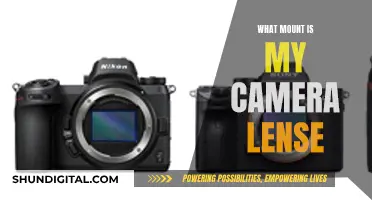 Understanding Camera Lens Mounts: Compatibility and Flexibility