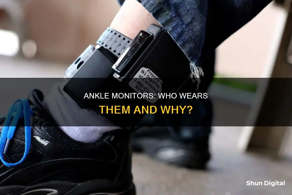 what offenders usually wear ankle monitors