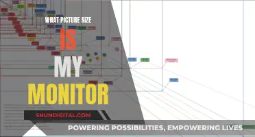 Understanding Monitor Resolution and Picture Size