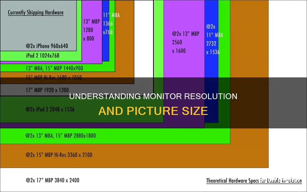 what picture size is my monitor