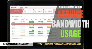 Monitoring Bandwidth Usage: Top Programs to Watch Your Network