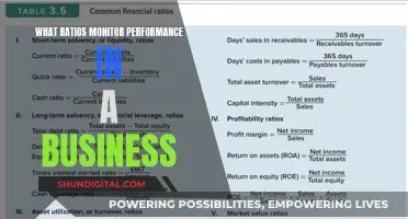 Performance Monitoring Ratios: Key Business Metrics