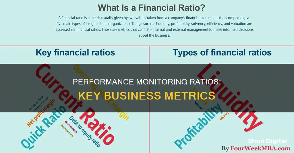 what ratios monitor performance in a business