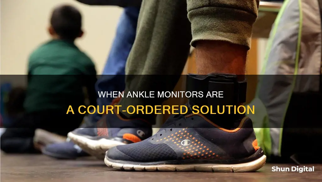 what reason would the court give a ankle monitor