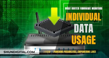 Monitoring Individual Data Usage: Router Firmware Options