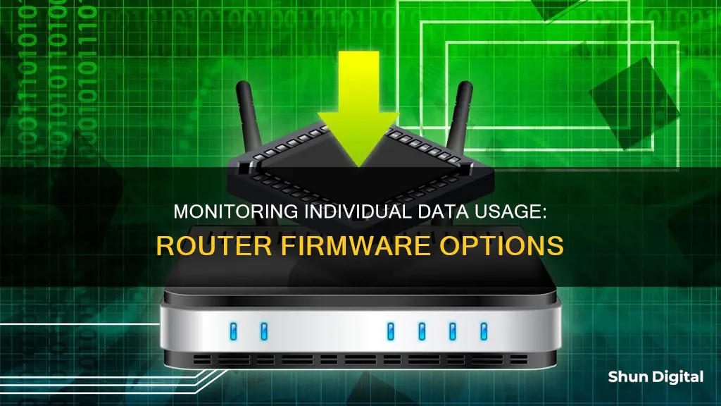 what router firmware monitors individual data usage