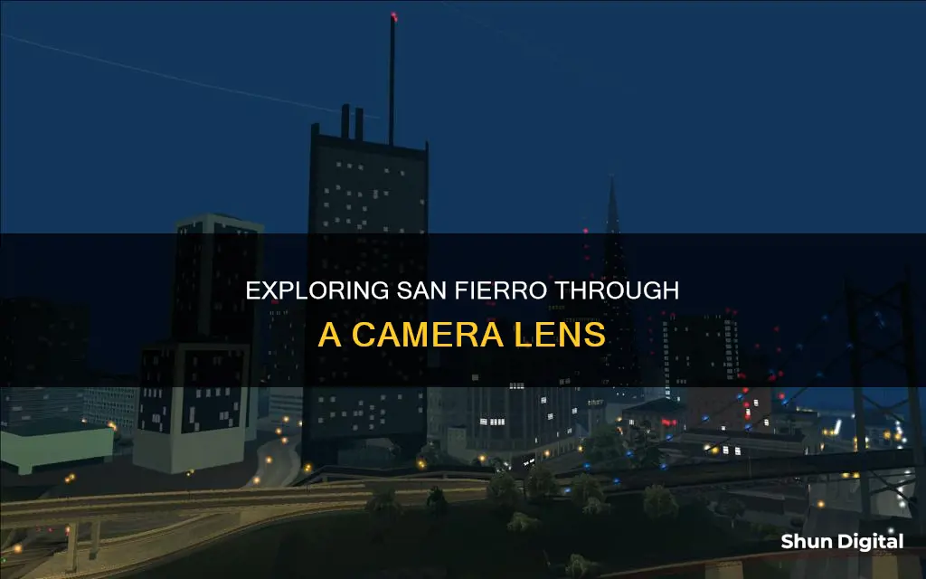 what see with camera san fierro