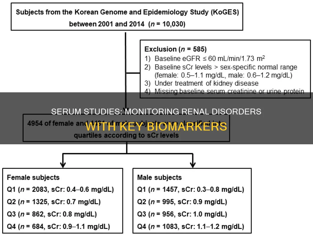 what serum studies do we monitor in rena disorders