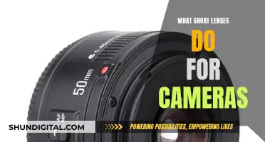 Short Lenses: Capturing Wide-Angle Views for Dynamic Photography