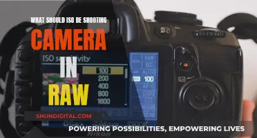 RAW Photography: Mastering ISO Sensitivity