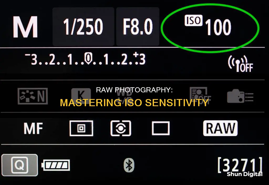 what should iso be shooting camera in raw