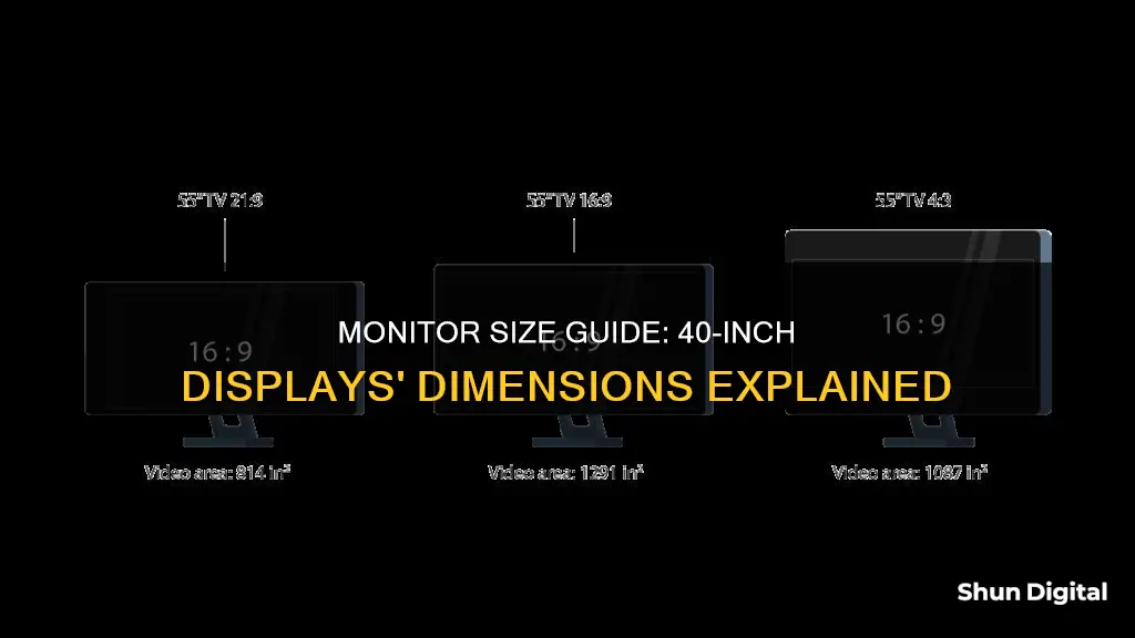 what size 40 monitor width and height