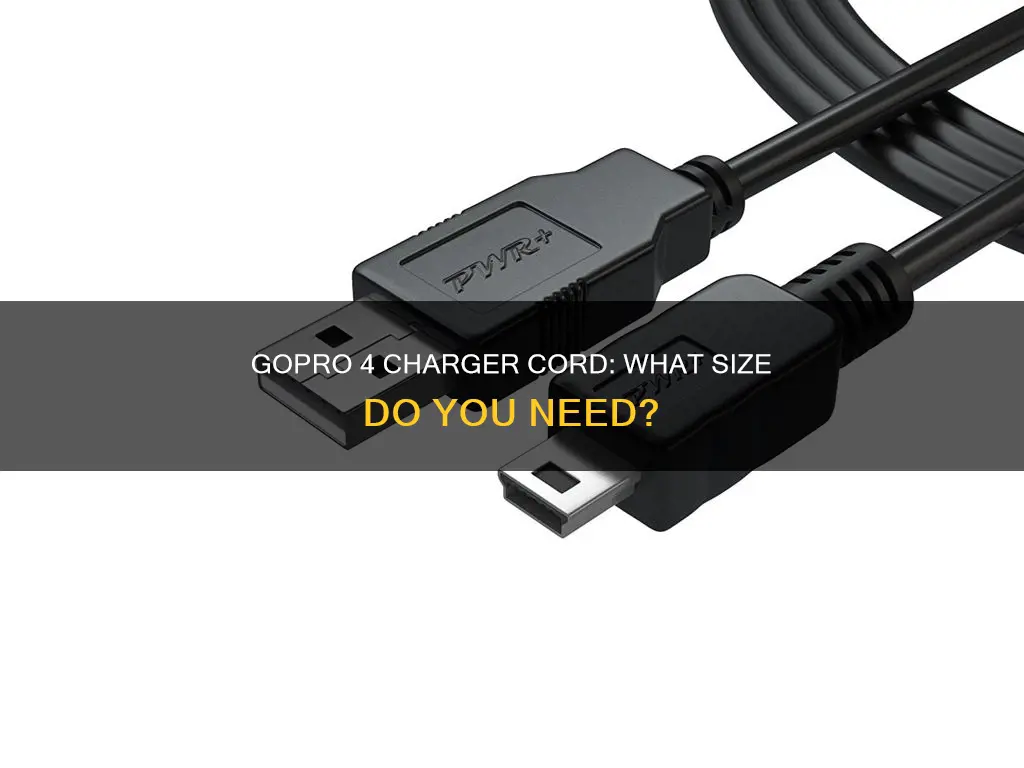 what size charger cord does the gopro 4 camera have