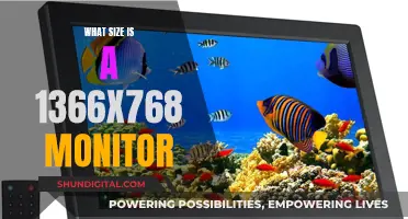 Standard Monitor Size: Understanding 1366x768 Resolutions