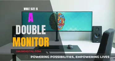 Double Monitor Standard Sizes: How Big is Too Big?