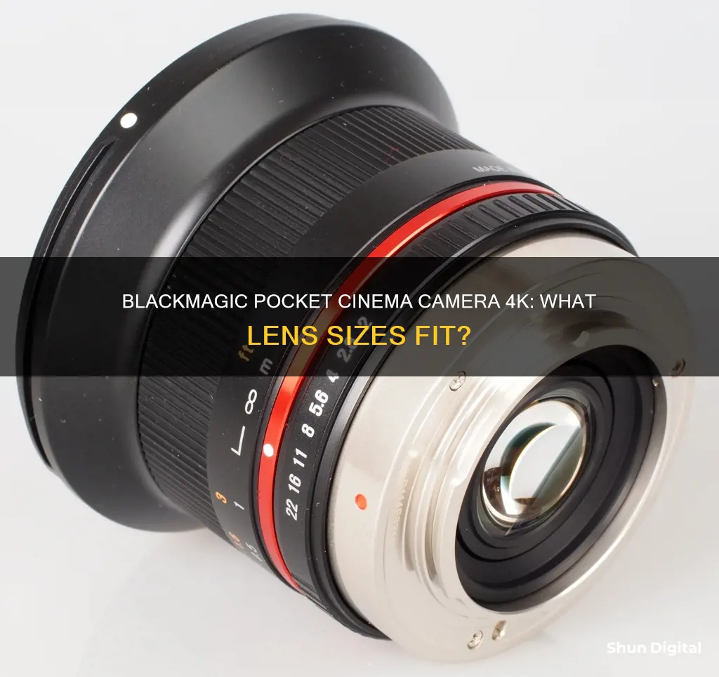 what size lenses fits a blackmagic pocket cinema camera 4k