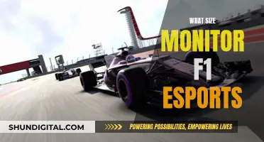 Esports Racing: Monitor Size for the Ultimate F1 Experience