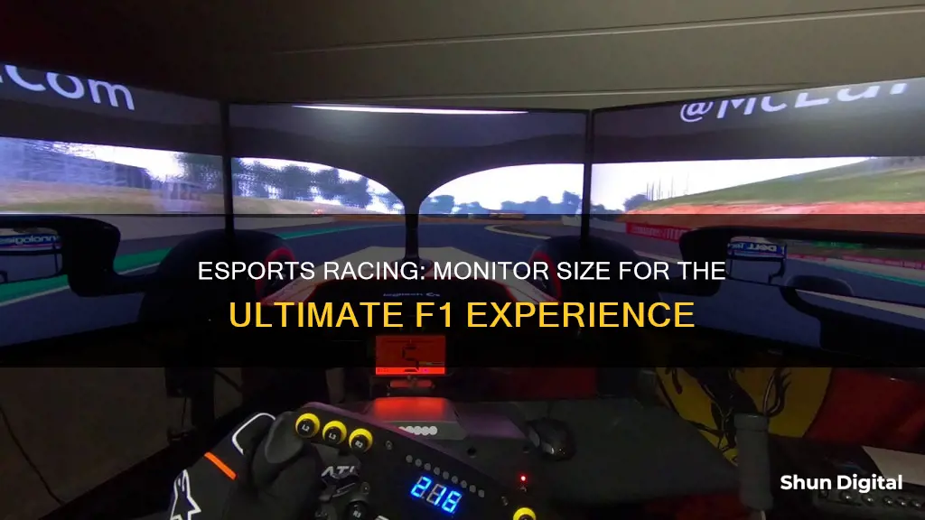 what size monitor f1 esports