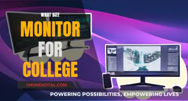 Best Monitor Size for College: Enhancing Your Productivity