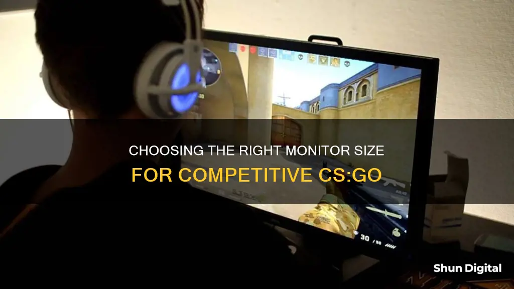 what size monitor for csgo