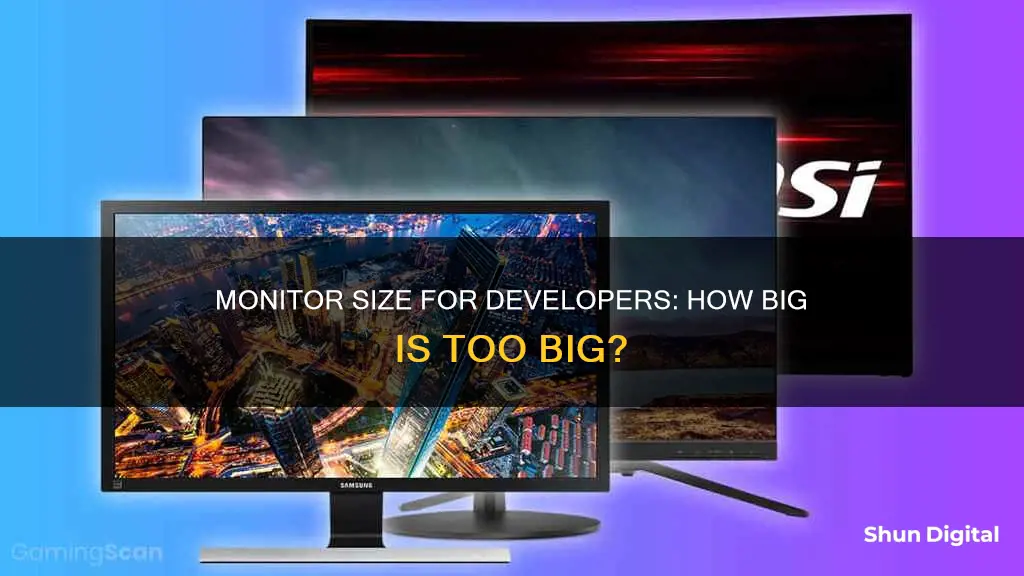 what size monitor for developers