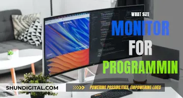 Choosing the Right Monitor Size for Programming Work