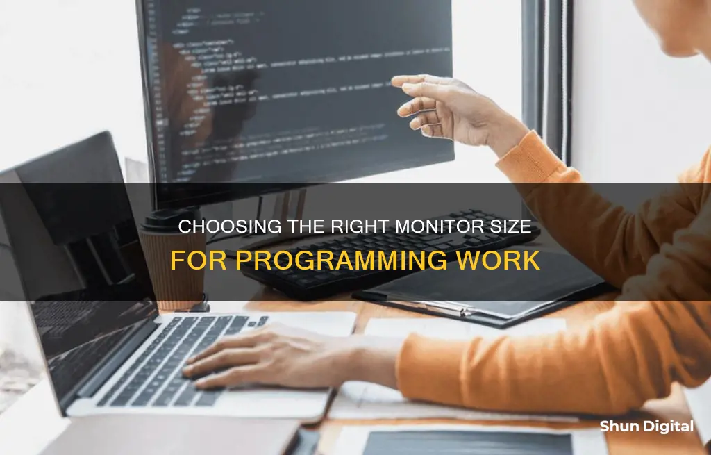 what size monitor for programming