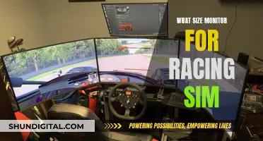 Best Monitor Size for Racing Sim Enthusiasts