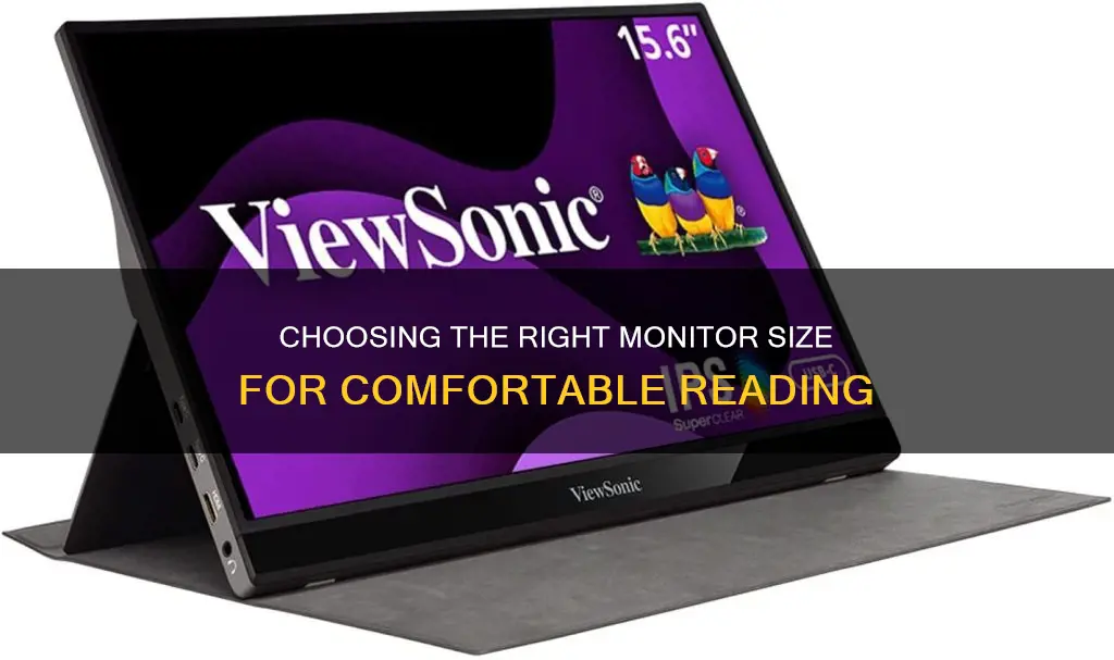 what size monitor for reading text