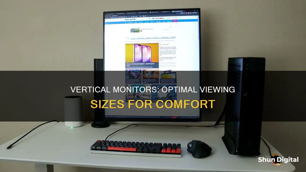 what size monitor for vertical